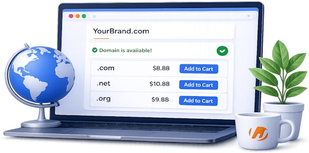 Domain Search Interface