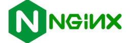 nginx