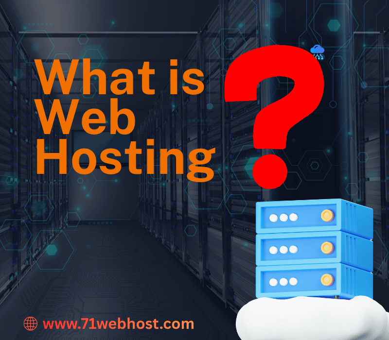 What is Web Hosting?